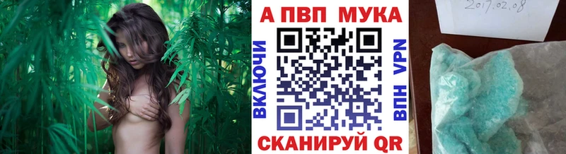 A PVP крисы CK Ступино