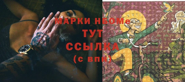 apvp Алзамай