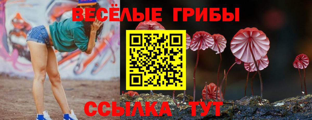 Ступино  Псилоцибиновые грибы прущие грибы  где купить наркоту  Вход с VPN 